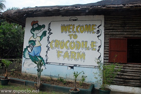 Island Cove Crocodile Farm