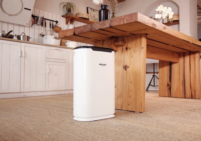 3 Things to Love About Okaysou AirMax8L Air Purifier