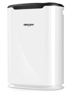 Okaysou AirMax8L Air Purifier